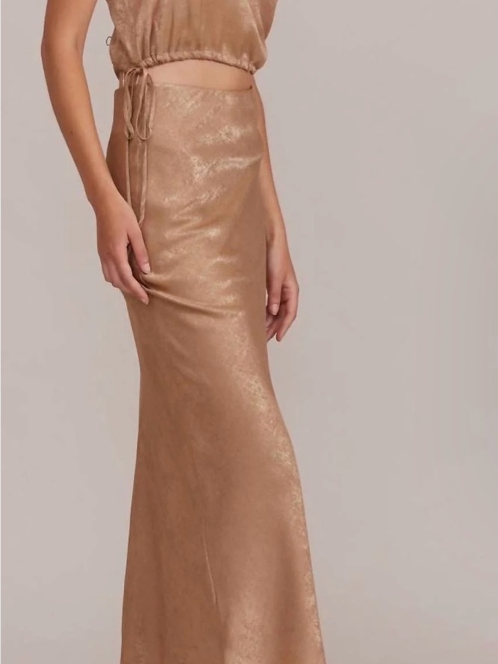Lucy Paris Metallic Tan Top and Maxi Skirt Set